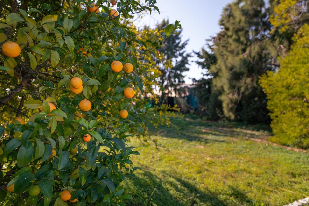 Casa Flor De Sal Vendégház Moncarapacho Kültér fotó
